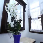 Antipatrea