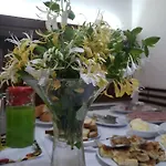 Antipatrea